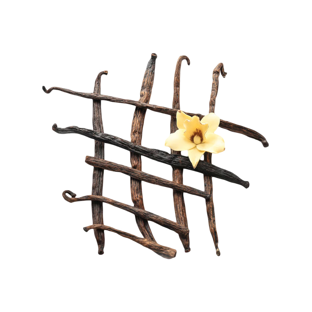 Nutrend Protein Bar 55g Vanilla