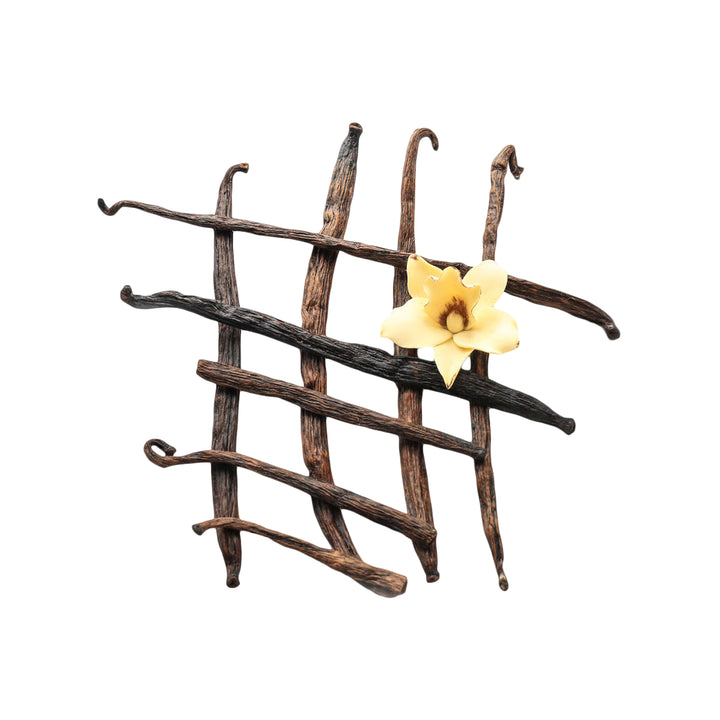 Nutrend Protein Bar 55g Vanilla